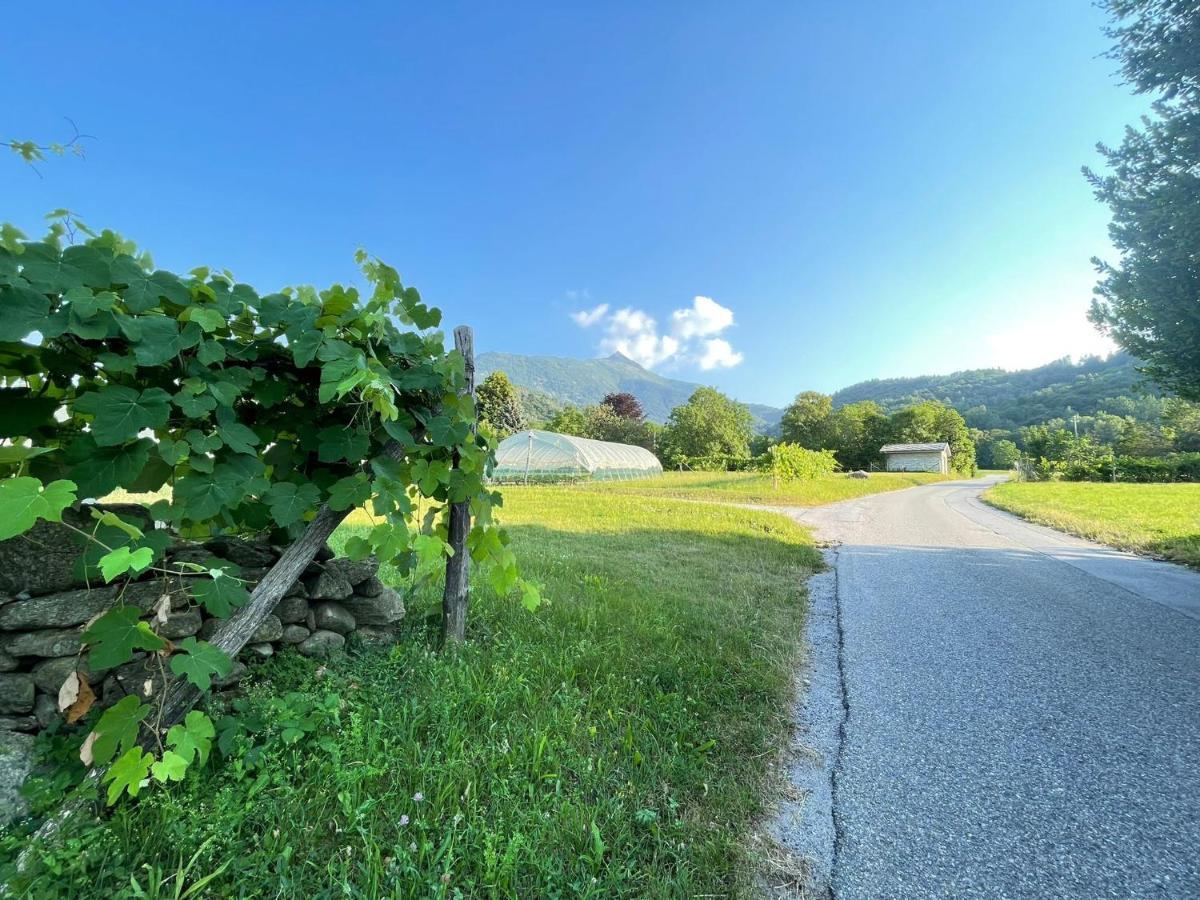 Il Sogno Della Vita Agriresort - Country Rooms & Suites Peveragno Dış mekan fotoğraf