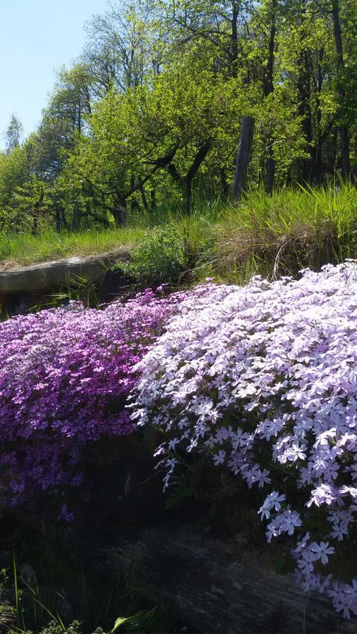 Il Sogno Della Vita Agriresort - Country Rooms & Suites Peveragno Dış mekan fotoğraf