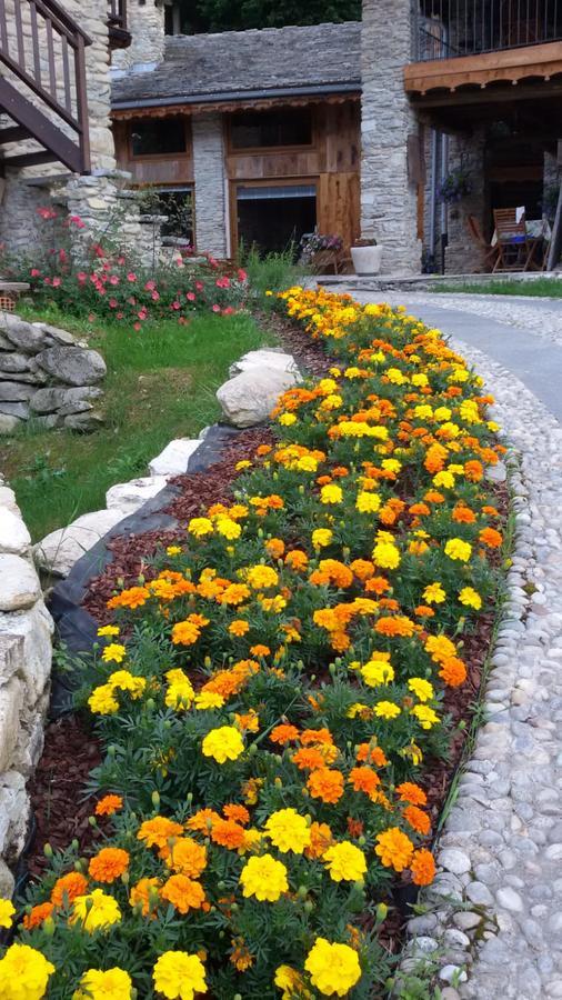 Il Sogno Della Vita Agriresort - Country Rooms & Suites Peveragno Dış mekan fotoğraf